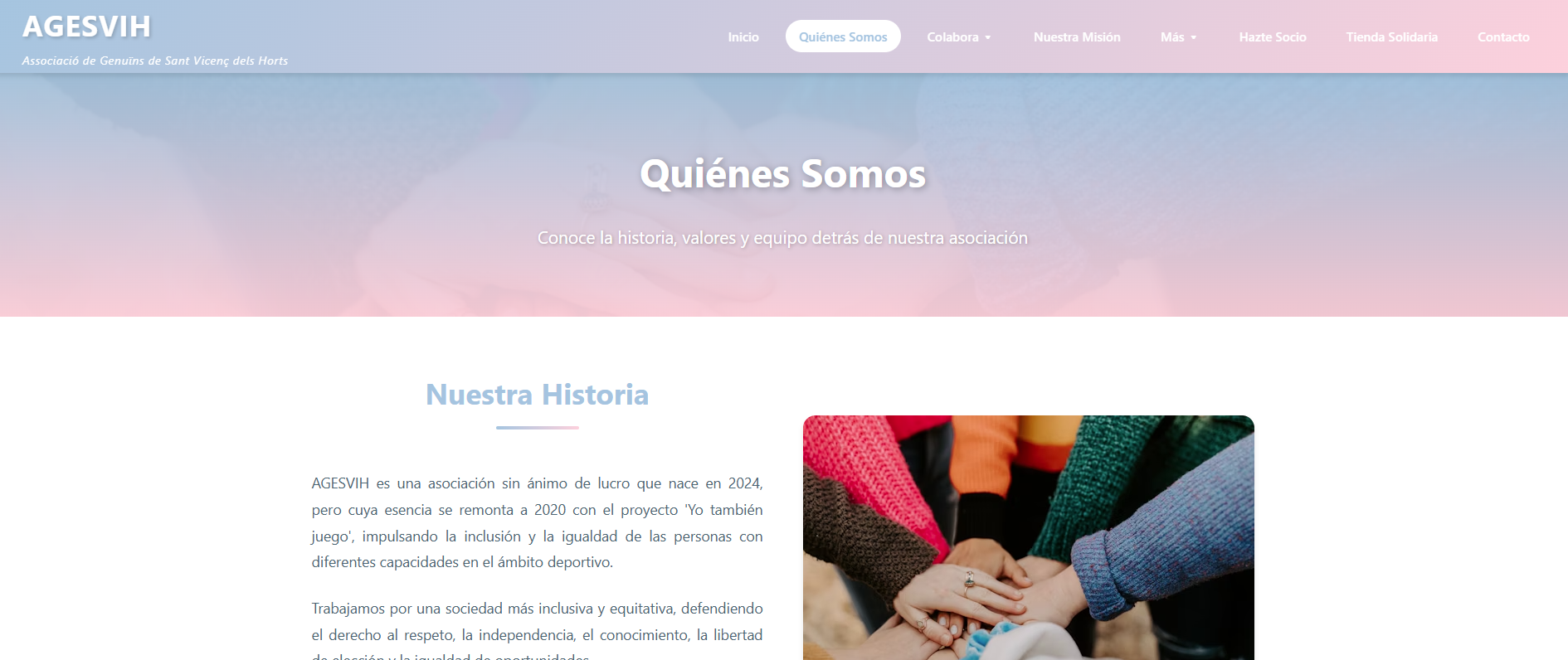 Captura de pantalla del sitio web Agesvih